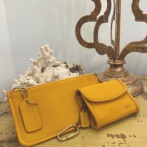 VERY NICE SET OF COACH MINI WALLET AND SKINNY CASE